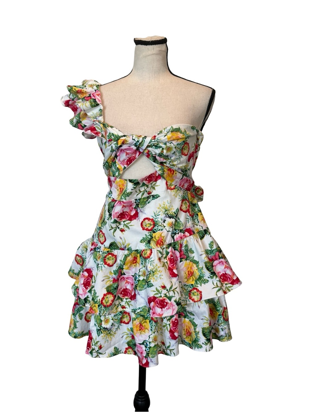Hello Molly Floral One Shoulder Ruffle Mini Dress Cutout Tiered Fit Flare XL